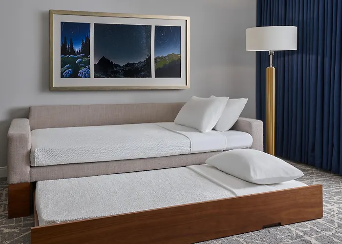 Springhill Suites By Marriott Denver Downtown